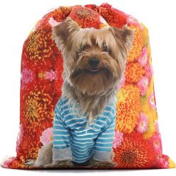 Pomarańczowy Plecak Personal. Torby i plecaki dziecięce marki Born2be. Za 29.99 zł.