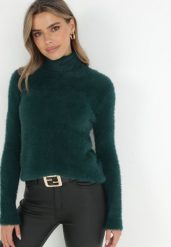 Ciemnozielony Golf Wełniany Karle. Zielone swetry damskie Born2be, m, bez wzorów, z tkaniny, klasyczne, bez kołnierzyka, bez ramiączek, długie, bez kaptura. Za 54.99 zł.