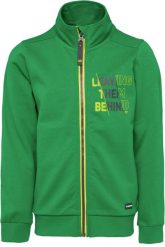 Bluza dziecięca Loap Dorad zielona. Zielone bluzy dla chłopców 55PROTEC, bez wzorów, z bawełny, bez ramiączek, z kapturem. Za 164.99 zł.