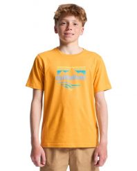 Koszulka z krótkim rękawem dla Chłopcy HORIZON FADE Żółty. Żółte t-shirty dla chłopców Quiksilver, bez wzorów, z bawełny, bez ramiączek. Za 37.50 zł.