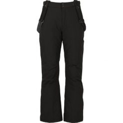 Spodnie narciarskie Whistler Portivo W-Pro 8000. Czarne spodnie sportowe męskie Whistler, na zimę, m, bez wzorów, narciarskie. Za 409.50 zł.