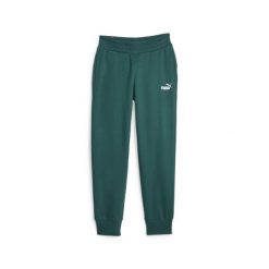 Spodnie Puma Ess Sweatpants, Kobiety. Zielone spodnie materiałowe damskie Puma, xl, bez wzorów, z bawełny. Za 290.00 zł.