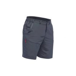 Spodenki turystyczne MH100 męskie. Szorty męskie marki QUECHUA. Za 39.99 zł.