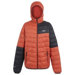 Męska Kurtka Hillpack III Hooded Active Padded Jacket. Czarne kurtki sportowe męskie Regatta, m, bez wzorów, z puchu, trekkingowe. Za 100.99 zł.