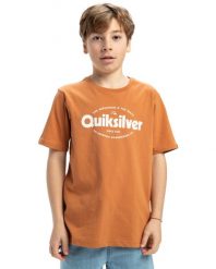 Koszulka z krótkim rękawem dla Chłopcy EV SHAPE ALL DAYS Brązowy. Brązowe t-shirty dla chłopców Quiksilver, bez wzorów, z bawełny, bez ramiączek. Za 89.99 zł.
