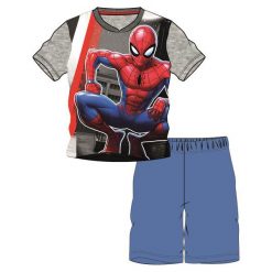 Disney By Arnetta Piżama Chłopięca Avengers 98 Szary. Bielizna dla chłopców marki Disney By Arnetta. Za 45.00 zł.