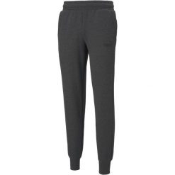 Spodnie Puma Essentials Logo, Mężczyźni. Szare buty sportowe męskie Puma, z bawełny, bez zapięcia, na fitness i siłownię. Za 142.00 zł.