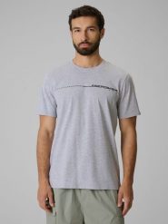 4F T-shirt regular z nadrukiem męski - szary S. Szare t-shirty męskie 4f, m, bez wzorów, z bawełny, biznesowe, bez kołnierzyka. Za 59.99 zł.