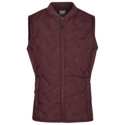 Trespass Miran - Aktywna kamizelka damska hybrydowa Mulberry. Czerwone kurtki damskie Trespass, bez wzorów, z puchu, bez kaptura. Za 316.99 zł.