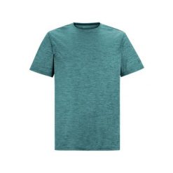 T-shirt Regatta Fingal Edition. Niebieskie t-shirty męskie Regatta, m, bez wzorów, z dżerseju, sportowe, bez kołnierzyka. Za 77.70 zł.