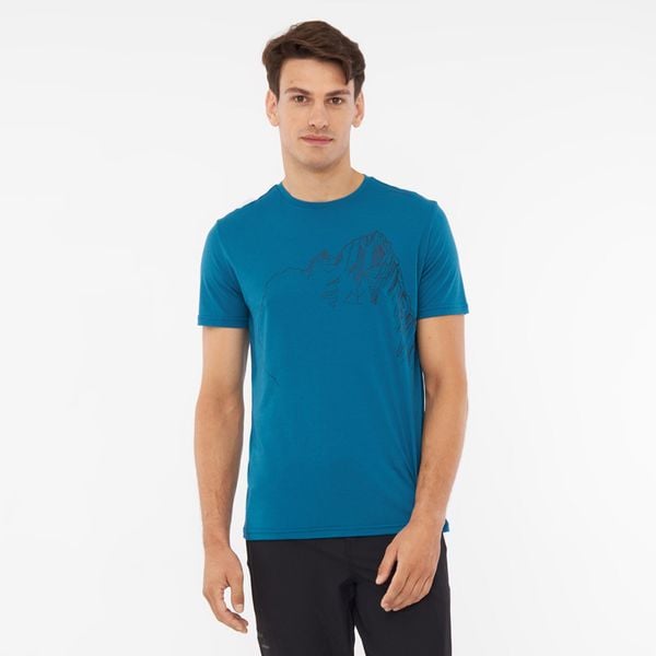 T-shirt męski VIKING Morain. Brązowe t-shirty męskie Viking, na lato, l, bez wzorów, z materiału, sportowe, bez kołnierzyka. Za 119.89 zł.