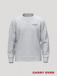 Bjorn_borg BORG ESSENTIAL 1 bluza z recyklingowanego poliestru – LIGHT GREY. Szare bluzy męskie Björn Borg, m, bez wzorów, bez kaptura. Za 288.00 zł.
