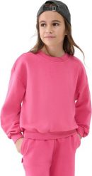 Bluza dla dziewczynki 4F F1479 różowa 4FJWSS25TSWSF1479 54S 146cm. Czerwone bluzy dla dziewczynek 4f, bez wzorów, bez ramiączek, bez kaptura. Za 136.14 zł.
