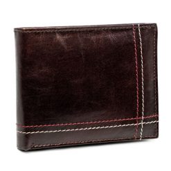 Portfel męski brązowy Always Wild N015-VTK-D-4992 BROW. Brązowe portfele męskie Always Wild, bez wzorów, ze skóry. Za 51.99 zł.