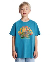 Koszulka z krótkim rękawem dla Chłopcy BRAP THE RIDE Niebieski. Niebieskie t-shirty dla chłopców DC Shoes, bez wzorów, z bawełny, bez ramiączek. Za 109.99 zł.