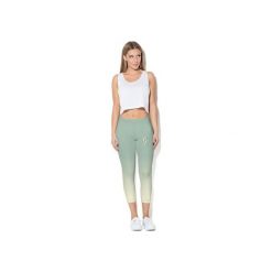 Legginsy CP-011 258. Szare legginsy damskie Colour Pleasure, z dzianiny. Za 99.00 zł.