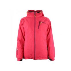 Kurtka narciarska 3 w 1 damska z odwracalnym designem Peak Mountain Acixi. Czerwone kurtki sportowe damskie Peak Mountain, na zimę, l, bez wzorów, z puchu, bez kaptura, narciarskie. W wyprzedaży za 471.50 zł.