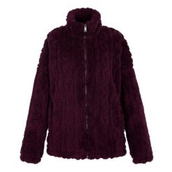 Bluza Polarowa Damska Pełen Suwak Alaiya. Fioletowe bluzy damskie Regatta, na zimę, bez wzorów, z polaru, bez kaptura. Za 138.99 zł.