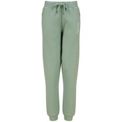 Spodnie Wędkarskie Dresowe Damskie Navitas Womens Joggers Light Green. Zielone spodnie dresowe damskie NAVITAS, l, bez wzorów, z dresówki. Za 168.99 zł.