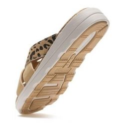 Sandały damskie Cassie. Brązowe obuwie sportowe damskie Regatta, bez wzorów, bez obcasa, bez zapięcia. Za 299.99 zł.