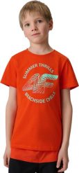 4f Koszulka dla chłopca 4F M3284 czerwona 4FJWSS26TTSHM3284 62S 158cm. Czerwone t-shirty dla chłopców 4f, bez wzorów, bez ramiączek. Za 53.98 zł.
