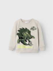 NAME IT Bluza 13219775 Beżowy Standard Fit. Brązowe bluzy dla chłopców Name it, bez wzorów, z bawełny, bez ramiączek, bez kaptura. Za 79.99 zł.