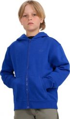 4f Bluza dla chłopca 4F M1944 kobalt 4FJWAW25TSWSM1944 36S 152cm. Bluzy dla chłopców 4f, bez wzorów, bez ramiączek, bez kaptura. Za 78.82 zł.