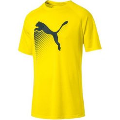 Puma Bluzka The Cat Heather Tee Blazing Yellow Heath L. Koszulki sportowe męskie marki Puma. Za 135.00 zł.