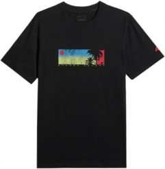 4f KOSZULKA MĘSKA SPORTOWA T-SHIRT 4F OKRĄGŁY DEKOLT M3335. Koszulki sportowe męskie 4f, m, bez wzorów, sportowe, bez kołnierzyka. Za 34.00 zł.