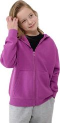 Bluza dla dziewczynki 4F F1853 ciemny fiolet 4FJWSS25TSWSF1853 50S 164cm. Bluzy dla dziewczynek 4f, bez wzorów, bez ramiączek, bez kaptura. Za 151.27 zł.