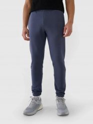 SPODNIE MĘSKIE DRESOWE 4F JOGGERY 3XL SZARE. Szare spodnie sportowe męskie 4f, m, bez wzorów, z bawełny, na fitness i siłownię. Za 159.99 zł.