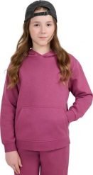 Bluza dla dziewczynki 4F F1953 ciemny fiolet 4FJWAW25TSWSF1953 50S 134cm. Bluzy dla dziewczynek 4f, bez wzorów, bez ramiączek, bez kaptura. Za 136.14 zł.