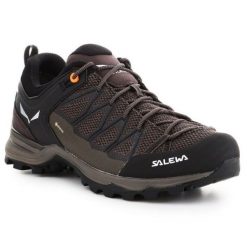 Buty trekkingowe Salewa Mtn Trainer Lite Gtx 61361-7512 brązowe. Brązowe trekkingi męskie na zimę, wspinaczkowe, gore-tex. Za 962.69 zł.