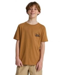 Koszulka z krótkim rękawem dla Chłopcy FUNDAMENTAL RIDE Brązowy. Brązowe t-shirty dla chłopców Quiksilver, bez wzorów, z bawełny, bez ramiączek. Za 42.50 zł.