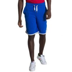 Letnie szorty męskie Basic. Niebieskie buty sportowe męskie LEONE 1947 APPAREL, l, bez wzorów, z tkaniny, na fitness i siłownię. Za 98.51 zł.