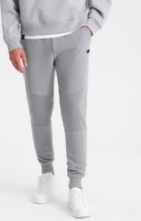 Ombre Męskie spodnie dresowe ze wstawkami z tkaniny ottoman - szare V5 OM-PASK-0127 XL. Szare spodnie sportowe męskie Ombre, m, bez wzorów, z dresówki. Za 49.99 zł.