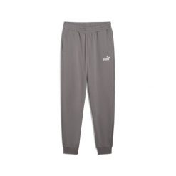 Męskie spodnie dresowe Essentials z logo No. 1 PUMA. Szare spodnie sportowe męskie Puma, m, bez wzorów, z dresówki, do biegania. Za 159.99 zł.