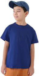 4f KOSZULKA CHŁOPIĘCA DZIECIĘCA 4F M2325 NA CO DZIEŃ BAWEŁNIANA. T-shirty dla chłopców 4f, bez wzorów, z bawełny, bez ramiączek. Za 22.90 zł.