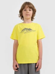 4F T-shirt regular z nadrukiem chłopięcy - pomarańczowy 152 (11-12 lat). Żółte t-shirty dla chłopców 4f, bez wzorów, z bawełny, bez ramiączek. Za 39.99 zł.