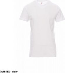 R.E.I.S. PRINT JERSEY PAYPER - Koszulka t-shirt męski roboczy 100% BAWEŁNA ELASTYCZNA 150 g/m2 - czarny 3XL. Czarne t-shirty męskie R.E.I.S., m, bez wzorów, z bawełny, bez kołnierzyka. Za 26.51 zł.