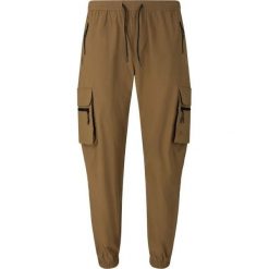 Damskie spodnie dresowe Whistler Portus. Brązowe spodnie sportowe damskie Whistler, bez wzorów, z dresówki. Za 276.50 zł.