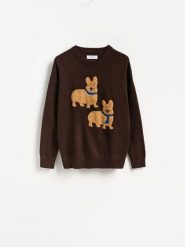 Sweter z wyszywanym wzorem - brązowy. Brązowe swetry przez głowę męskie Reserved, l, bez wzorów, z dzianiny, bez kołnierzyka. Za 149.99 zł.