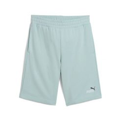 Szorty Puma No. 1 10". Zielone krótkie spodenki sportowe męskie Puma, bez wzorów. Za 183.50 zł.