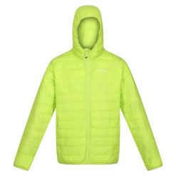 Męska Kurtka Pikowana Z Kapturem + Worek Hillpack. Żółte kurtki sportowe męskie Regatta, m, bez wzorów, trekkingowe. Za 103.99 zł.