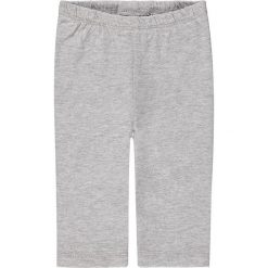 Legginsy termoizolacyjne w kolorze szarym. Szare legginsy dla dziewczynek marki Kanz, z bawełny. W wyprzedaży za 15.95 zł.