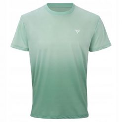 Męska koszulka tenisowa Tecnifibre T-Shirt X-Loop Tee. Zielone t-shirty męskie TECNIFIBRE, m, bez wzorów, sportowe, bez kołnierzyka. Za 214.99 zł.