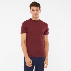 T-shirt męski VIKING Salen Man Merino. Brązowe t-shirty męskie Viking, l, bez wzorów, bez kołnierzyka. Za 229.90 zł.