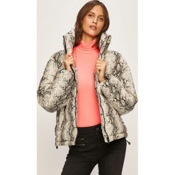 Glamorous - Kurtka. Szare kurtki damskie Glamorous, l, bez wzorów, z poliesteru, bez kaptura. Za 399.90 zł.
