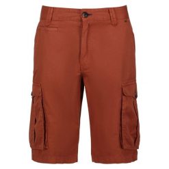 Spodenki cargo Regatta Shorebay. Brązowe krótkie spodenki sportowe męskie Regatta, bez wzorów, trekkingowe. Za 99.99 zł.