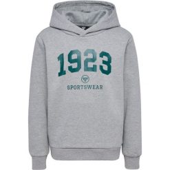 Dziecięca bluza z kapturem Hummel hmlNIPPS. Szare bluzy dla chłopców Hummel, bez wzorów, bez ramiączek, z kapturem. Za 177.00 zł.